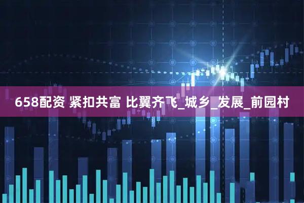 658配资 紧扣共富 比翼齐飞_城乡_发展_前园村
