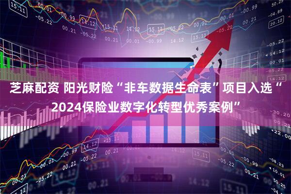 芝麻配资 阳光财险“非车数据生命表”项目入选“2024保险业数字化转型优秀案例”